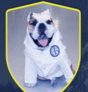 Registration ends 5/15 for the 13th Annual <a href="/ButlerCOPHSExEd/">Butler COPHS ExEd</a> #CE Symposium for #pharmacists! butler.edu/CESymposium