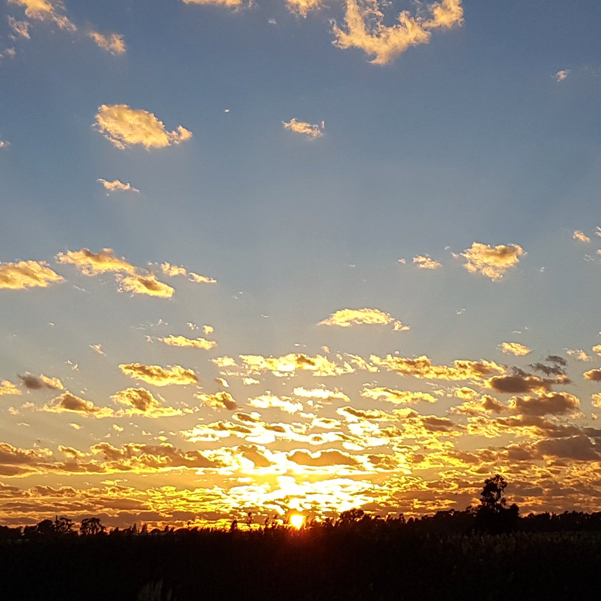 Gen_Earth's tweet photo. Good Morning Jozi!!! Make it an amazing day!!! #GEholla ππ #ClimateLeaders #DevelopingYoungLeaders @Brand_SA https://t.co/zaKM0IuZXw