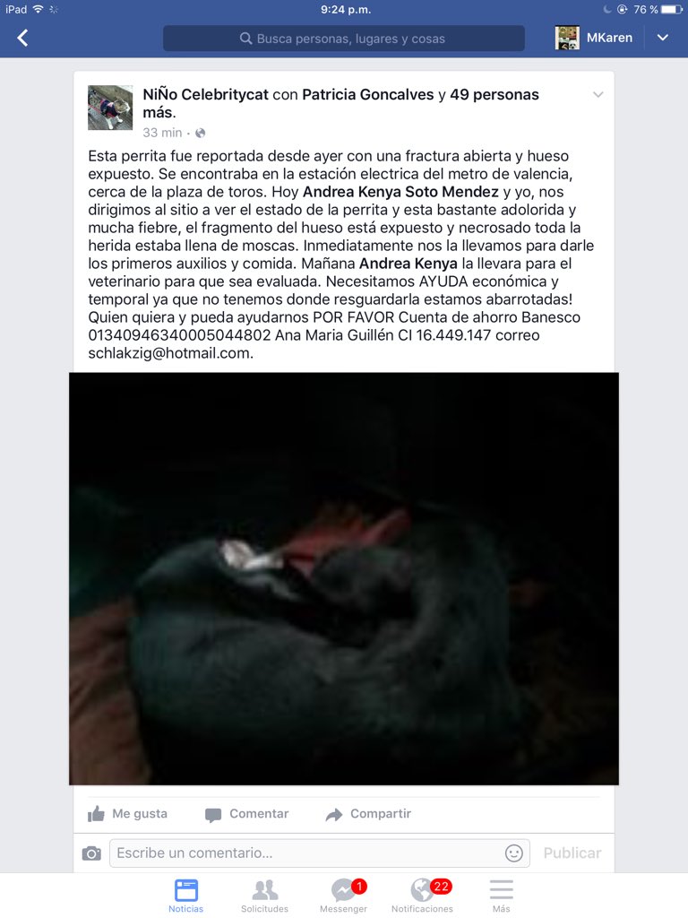 Venezuelienne09's tweet photo. Perrita arrollada en malas condiciones solicitan ayuda económica https://t.co/uVrh4tXRvu @TapasxPatas @hemirams https://t.co/vIPNADv1IH