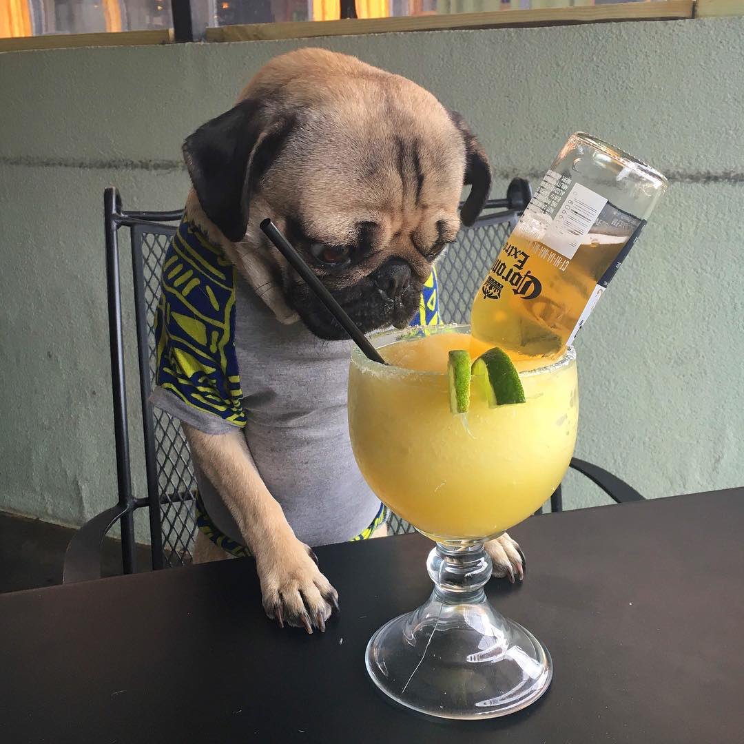 SayYesToAlcohol's tweet photo. When you take a sip and can't taste the alcohol #SoMe https://t.co/sPhcuWsFI1