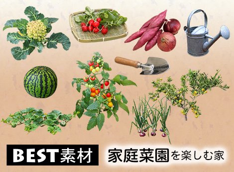 建プロショップ على تويتر 収穫物だけでなく 畑に植わっている野菜素材を112点集めました 切り抜き 処理しているため 背景が黒でも白でも自然に合成できます 野菜や果物で家庭菜園を楽しむ家のパースを作成しませんか T Co Tl75hymz8i