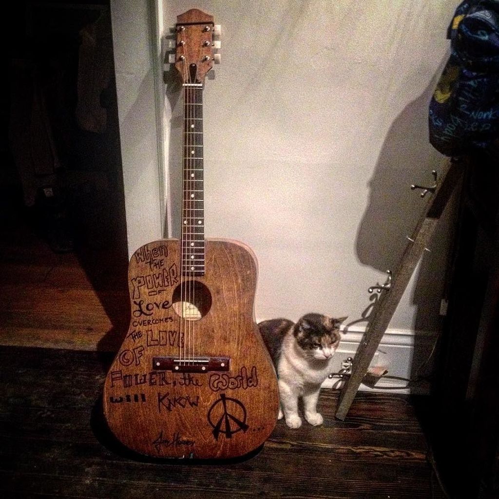 PerlaGalindoT_'s tweet photo. Kitty love.  #songwriter #songwriterforhire #songwriterslife #kitten #smile #guitarist https://t.co/JgvhnCACKO