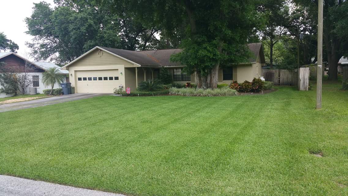 Hate doing lawn work or just don't have time? Let us do it for you! (863)812-5968