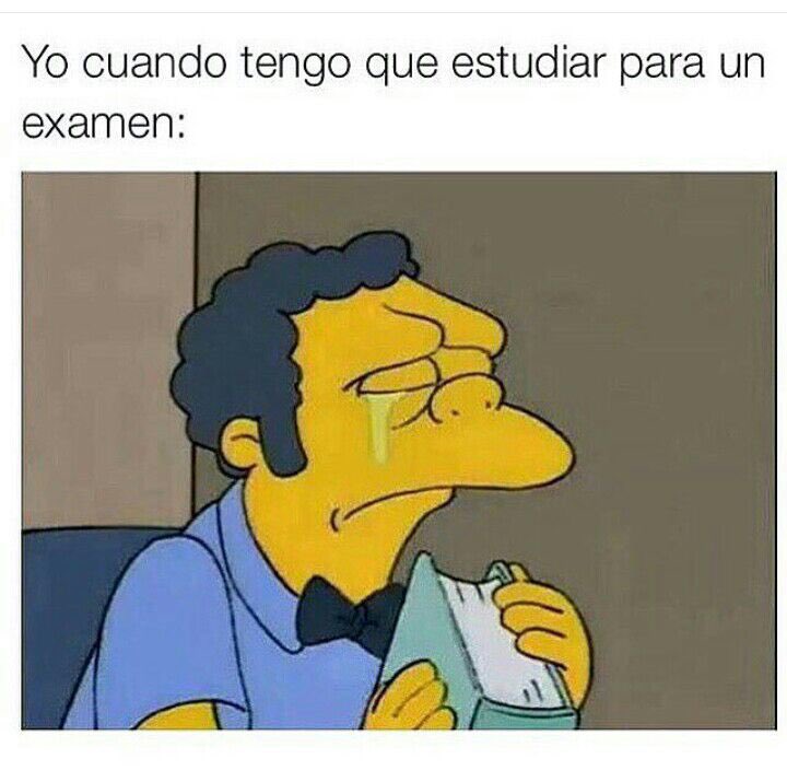 no_parece's tweet photo. 😭 https://t.co/oPU9oPGKQC