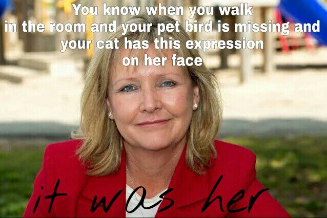 007primo's tweet photo. @UberedOttawa @uberoutrage @OttawaTaxiFleet @ZZ803i @dianedeans @jafarmirsalari @DeletUberOttawa @BadUberX https://t.co/GT2z2ZrW1K