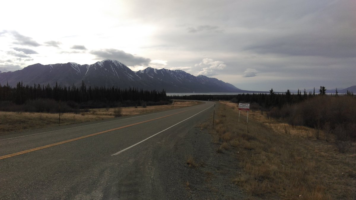 PyledHigh's tweet image. The serenity of the western Yukon territory #breathtaking