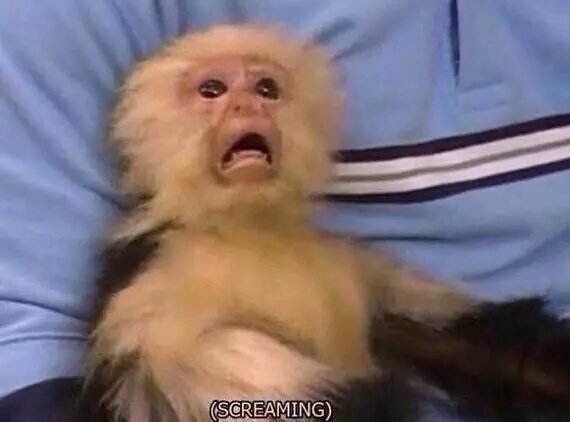Darth_Mommie's tweet photo. MRW I wake up in the morning and I'm even more sore than I am now #NewWorkout #NOTWSS https://t.co/r5DShVZ1ce