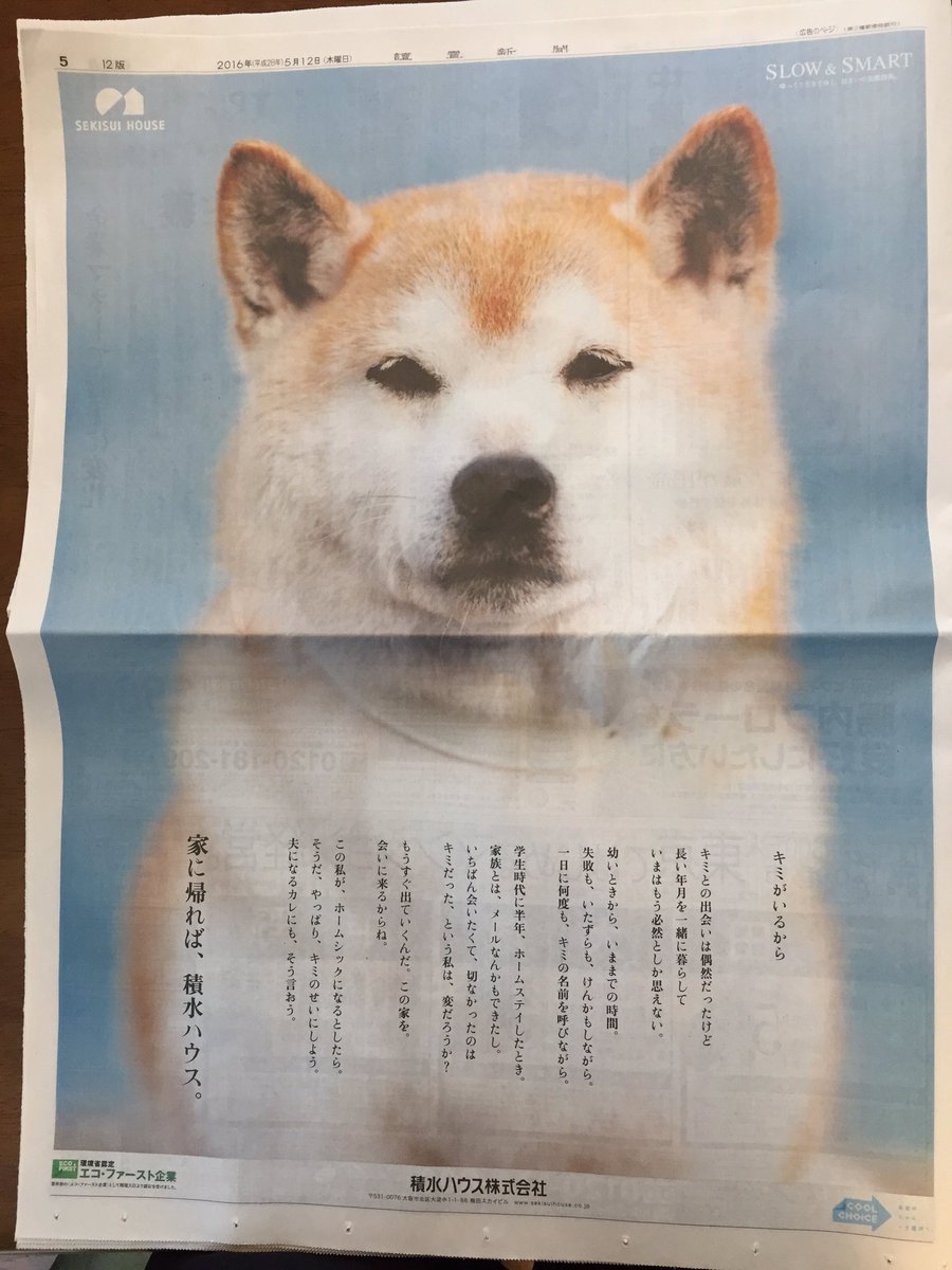 Twitter पर ゆきパパ 今朝の朝刊 積水ハウス の全面広告 キミとの出会いは偶然だったけど 柴犬ゆきとの出会いも偶然だった ゆきが入院したとき小さい犬がいないだけで何かが足りない感じがした 柴犬 柴 Shiba Shibainu 積水ハウス Twitter पर ゆきパパ 今朝の朝刊 積水ハウス の全面広告 キミとの出会いは偶然だったけど 柴犬ゆきとの出会いも偶然だった ゆきが入院したとき小さい犬がいないだけで何かが足りない感じがした 柴犬 柴 Shiba Shibainu 積水ハウス