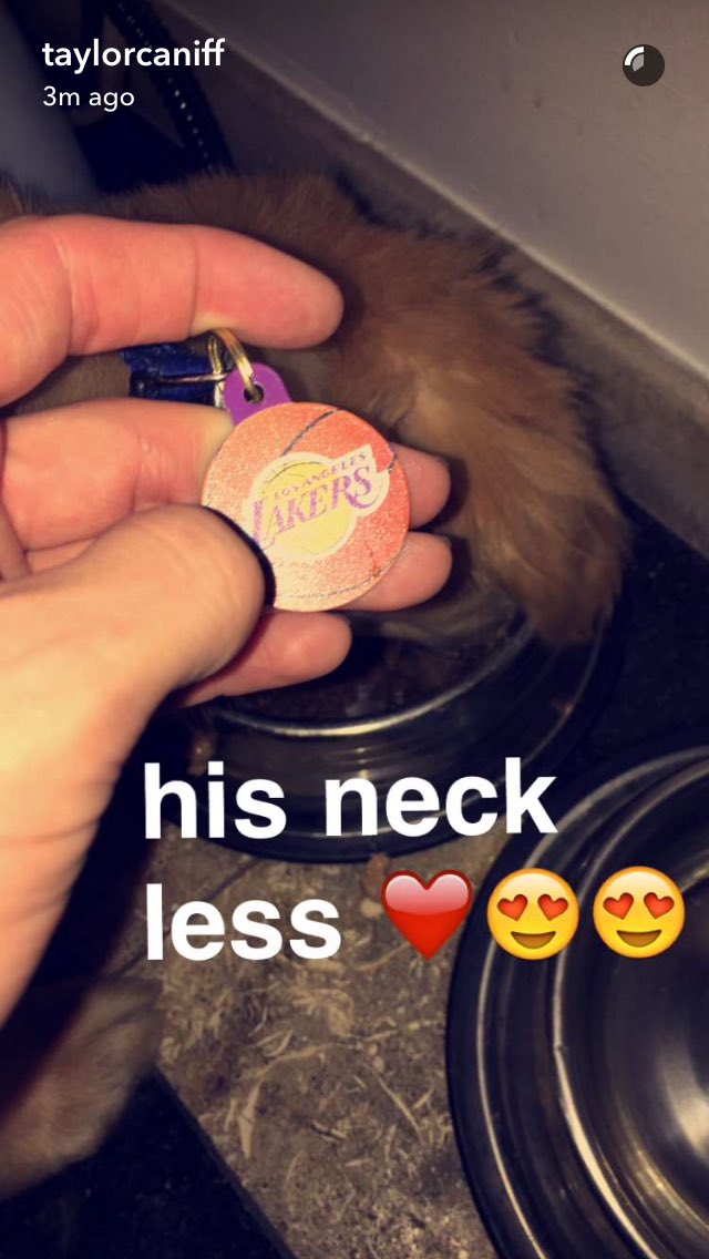 His neck less, Taylor I can't deal with you 😂😂😂😂😂😂