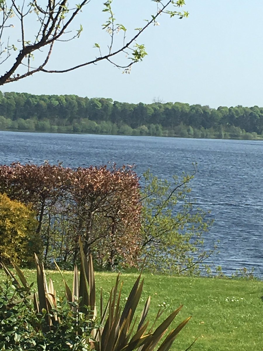 FranTDuffy's tweet photo. Such a wonderful day for all my clients having therapy today. @FranTDuffy https://t.co/zRiHKh4gZ7