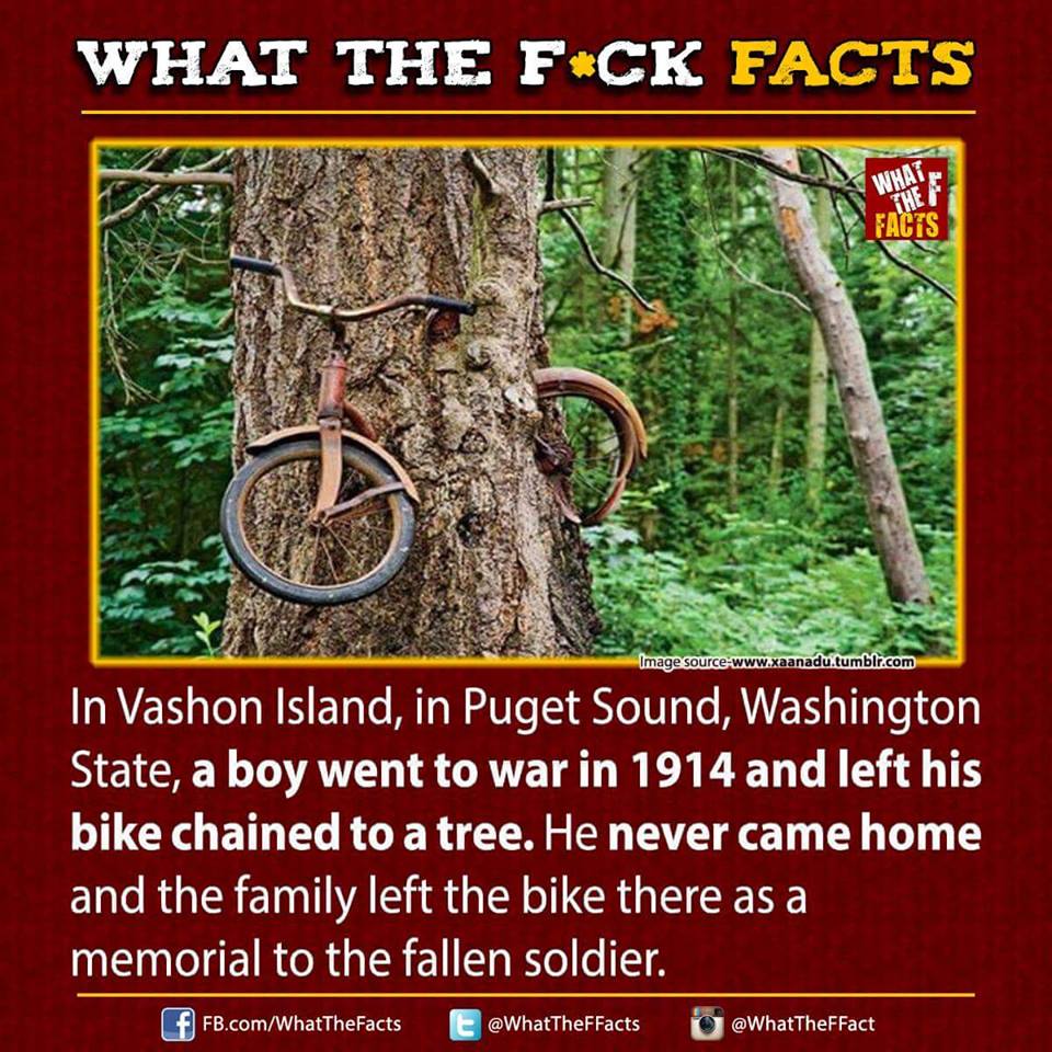 WhatTheFFacts tweet picture