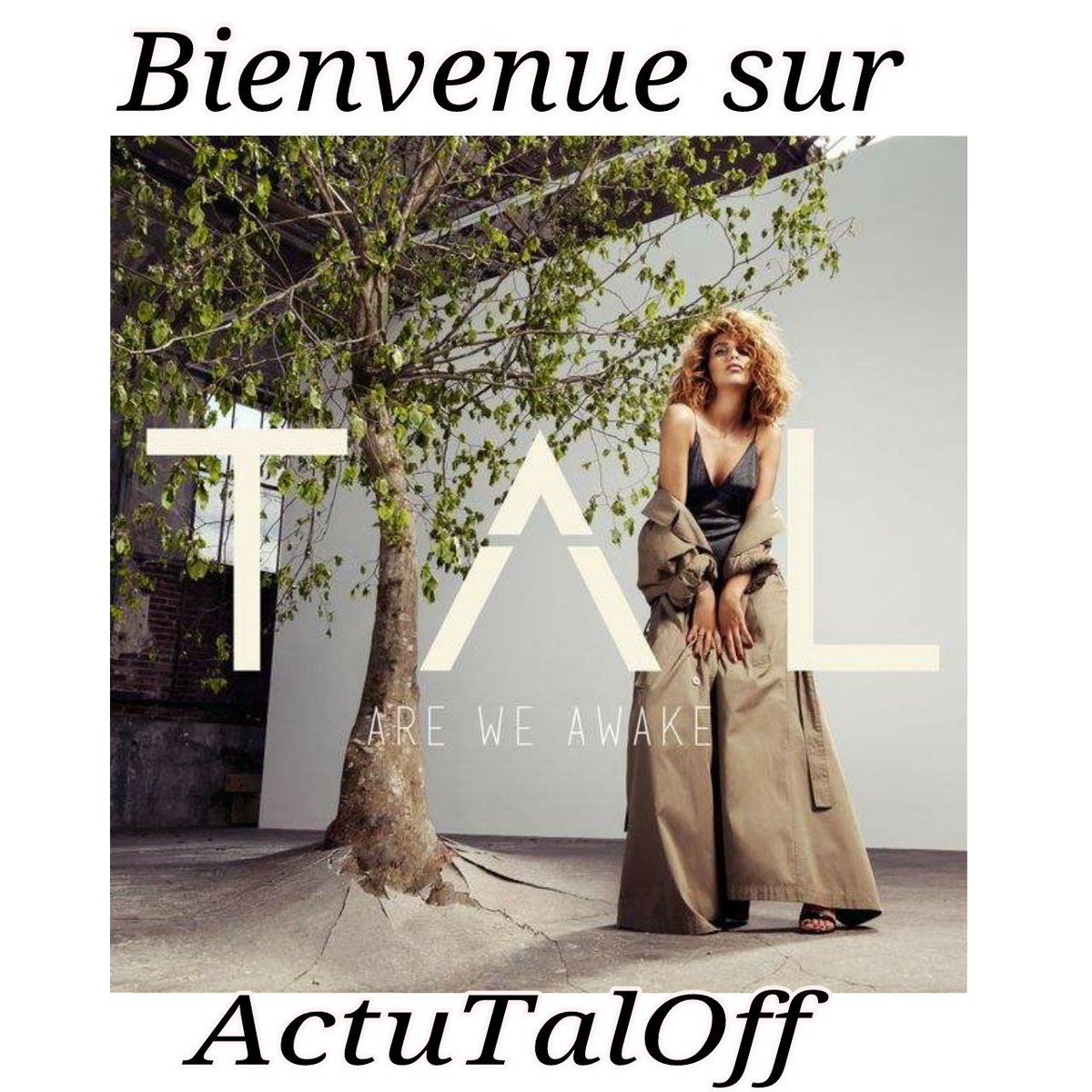 MontageDeTal's tweet photo. @ActuTalOff Le PP vous plait? 😘 https://t.co/Dop4USbiiQ