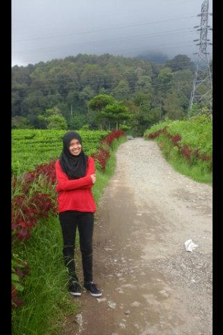 Alan_Sadega's tweet photo. Holiday holiday https://t.co/KZrHebedtN