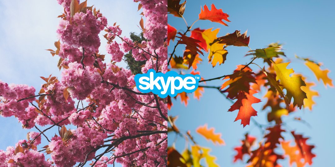 skyperussian's tweet photo. Красочная пора — в обоих полушариях. https://t.co/zWDUdETc8Y