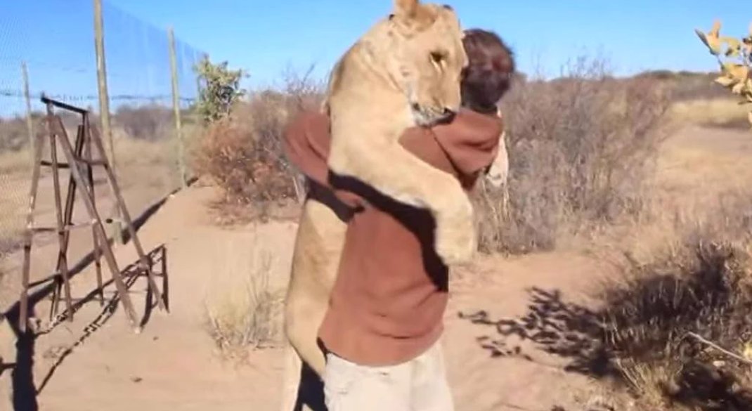 un4gettably's tweet photo. @Michel_0116 @saycheezpleez have the best dreams matey. How bout a #michelHug ? Or a #jumpHug b4 you get too big ? 😀 https://t.co/y8Aav4Nlu4
