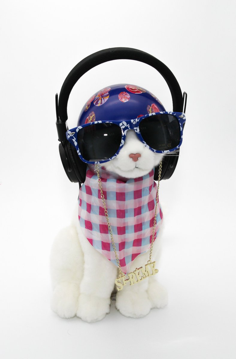 When #promotional #products have #SWAG - This is #Ramses the cat ! #marketing #merchandising #style #custommade
