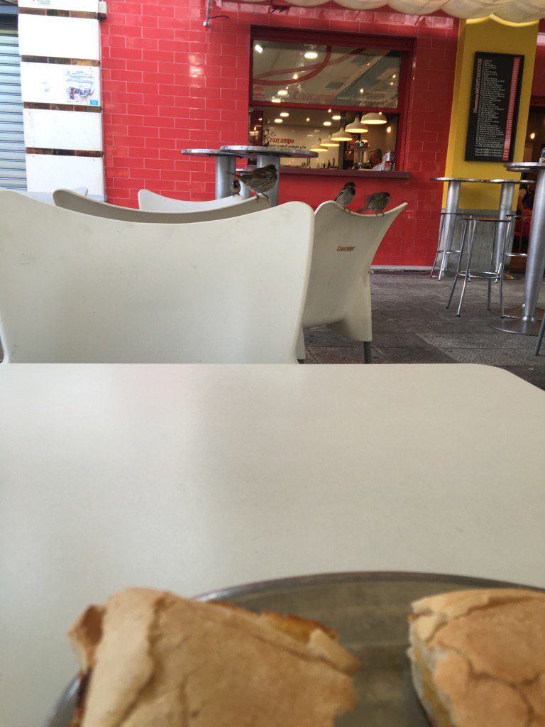 Gordolamente's tweet photo. Esperando a robar mi desayuno en el @monstruodelace https://t.co/PdKy5PxbEd