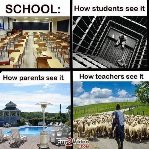 Israel_kesekwa's tweet photo. #ItsOnlyInHighSchoolWhere the stakeholders have different perceptions of it https://t.co/B8bEHqtAyc