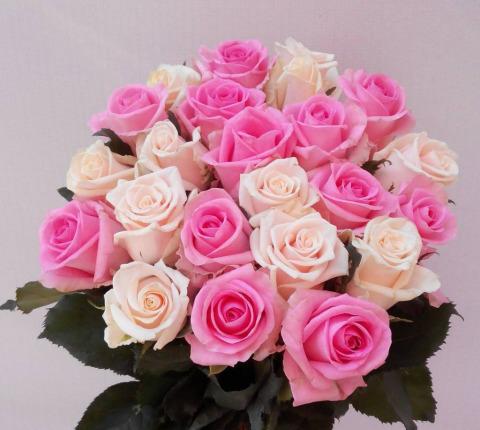 iliyan3374's tweet photo. @IliyanYurukov Happpy Birthday dear son!I am wish you many health,love and successful in your life!Your dear mother! https://t.co/Ly1cCPEVzR