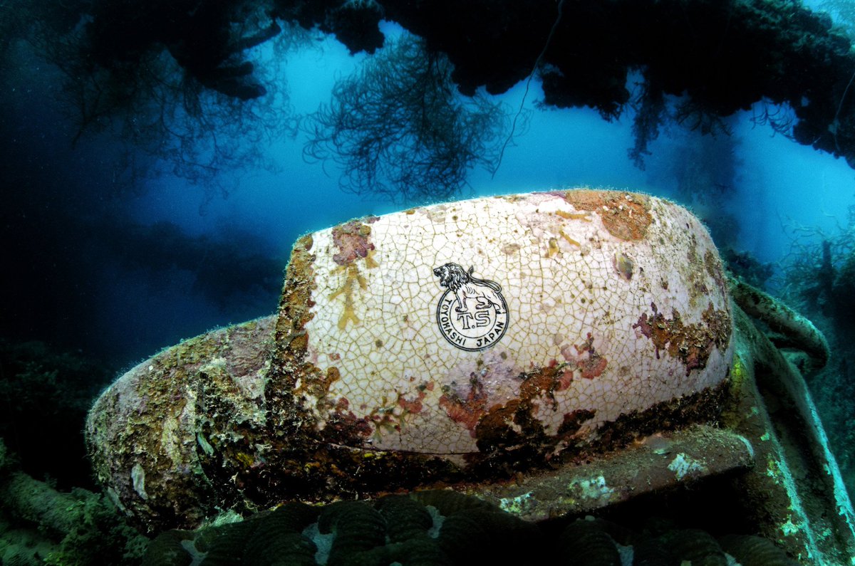 DiveTruk's tweet photo. Time for a wash?
A sink on the Kensho Maru wreck in Truk Lagoon
#scuba #truk #wreckdiving #chuuk https://t.co/bD62hoCdy8