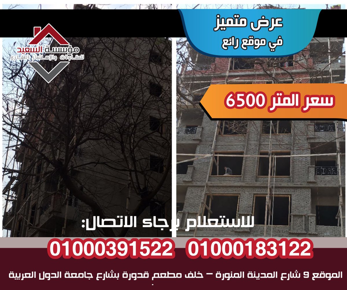 elsaeed2016 tweet picture