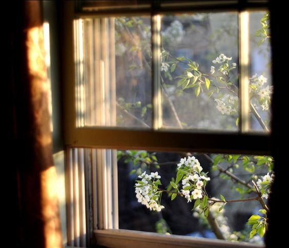 "مالم يُغَنَّ الآن
في هذا الصباح،
فلن يُغنَّى"