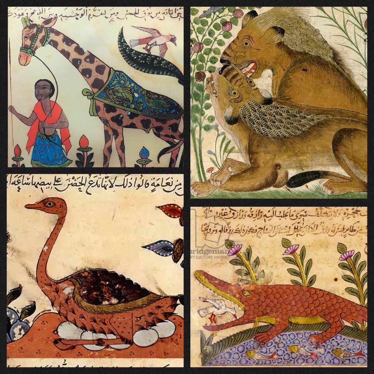 BootName's tweet image. in his BookOfAnimals aimed to bring together ways of knowing the world God created bit.ly/29Xy2CZ