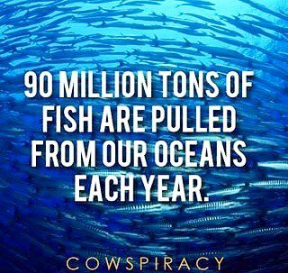 That is not okay..
#Savethefuckingearth #saveplanet #cowspiracy #help #saveourearth #savet… ift.tt/1TGU4nT