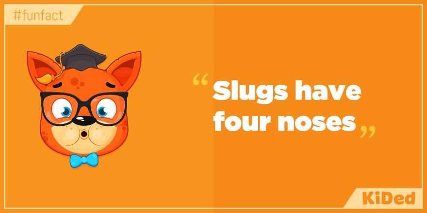 KidED_'s tweet photo. Did You Know? "Slugs have four noses" #funfact https://t.co/BiWsRTuE7G