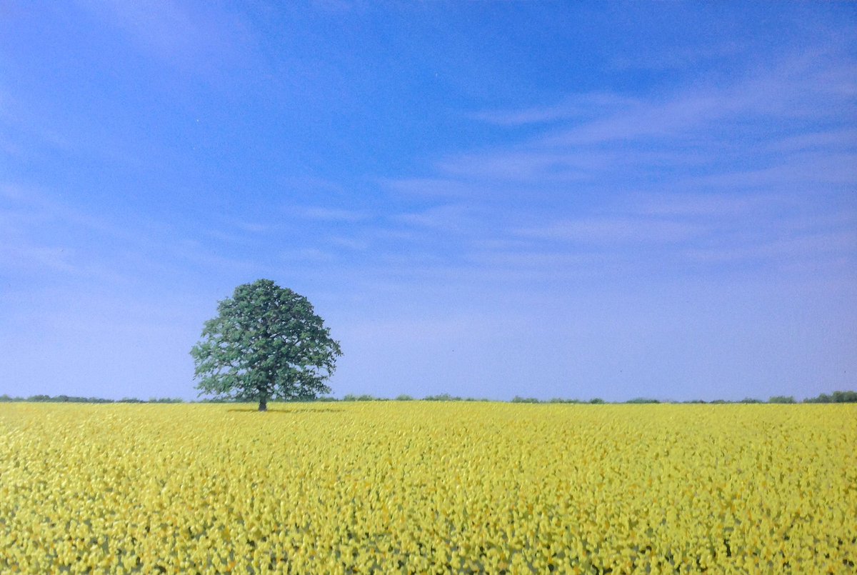 Gallery_LR's tweet photo. Nigel's exhibition is now open! #OpenSpaces #Art #London https://t.co/O7sqn6UGd6 https://t.co/4oa2qnhpMP