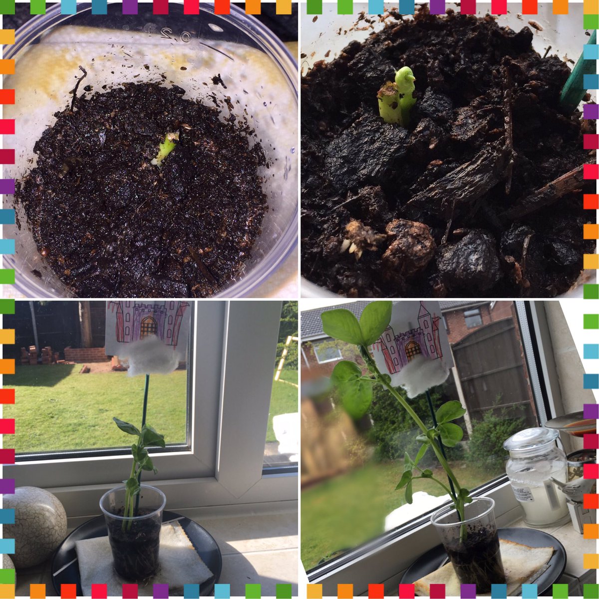 Danielle Clark  ✨ tweet media