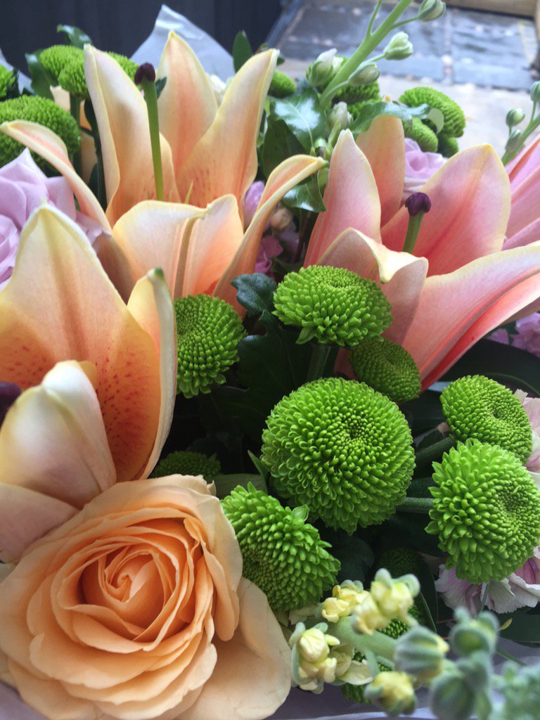 bluebell flowers (@bluebellsflower) on Twitter photo 