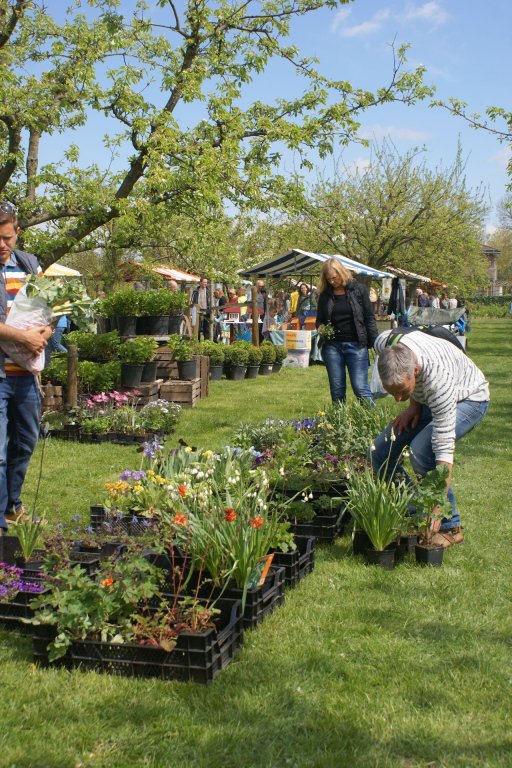 De Gelderlander tweet media