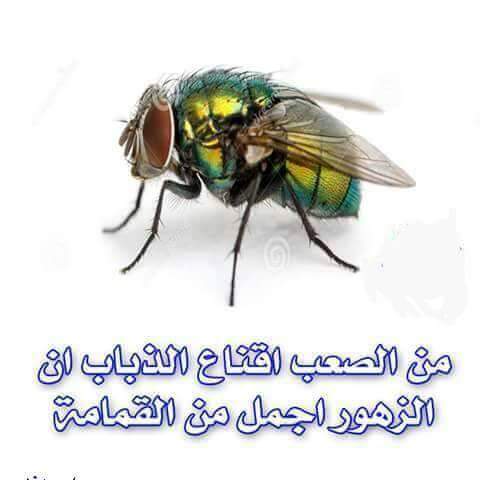 salah ban aissa (@ban_aissa) on Twitter photo 