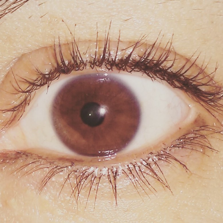 cejas_luna's tweet photo. Dicen que hablan demasiado ..😷!! https://t.co/lTqrs6mtrY