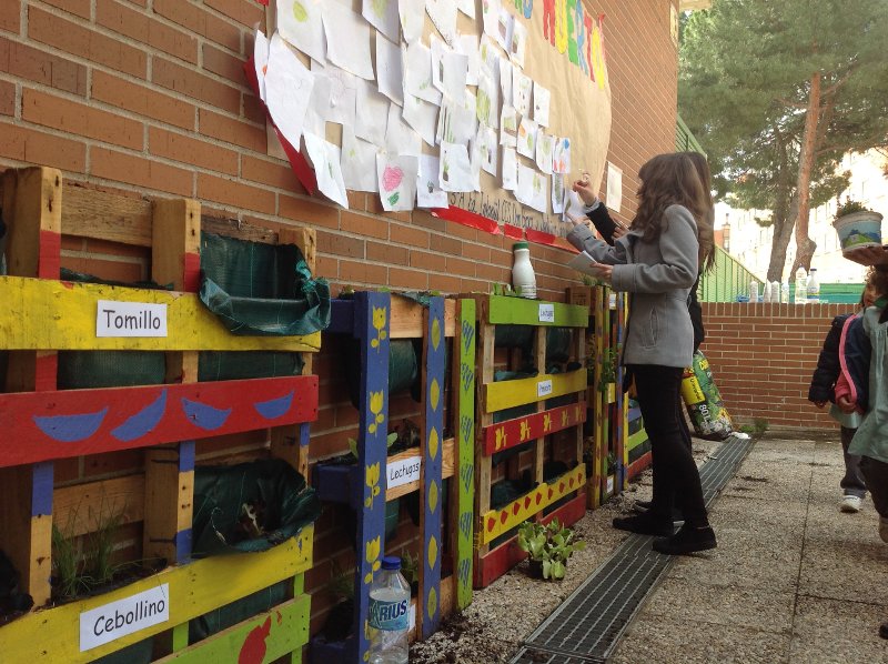 CESDonBosco's tweet photo. Terminamos la semana #CESconCiencia con un huerto vertical junto a los #niños del #colegio @SalesianasESS https://t.co/WL0a0BwBTc