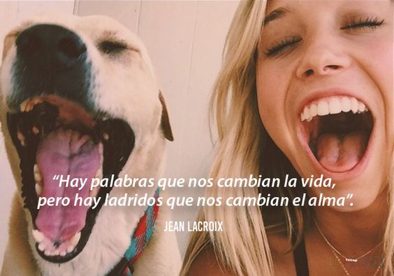 CanMundo's tweet image. #IrPorTodoONadaEs Tomar la decisión de tener una mascota en casa, nos cambia para toda al vida.
#FelizJueves
