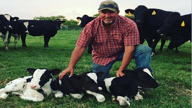 BrittanyonTV's tweet photo. Who knew? Big Country Cow Gives Birth to Triplets #KTAB #Triplets #Texams 🐄🐄🐄 https://t.co/7XADPnqljK https://t.co/SGMEY2EPSz