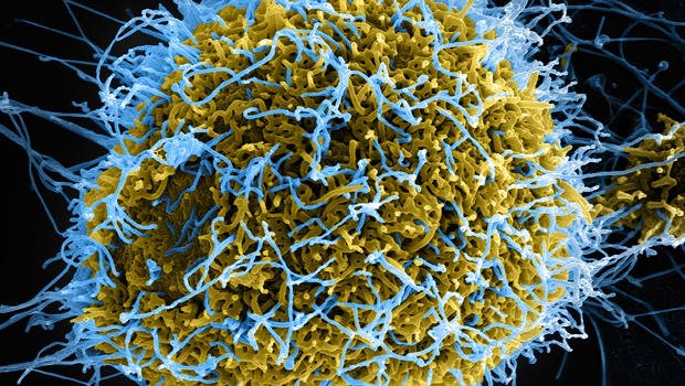 FastCompany's tweet photo. Your bathroom soap could kill viruses with this new chemical https://t.co/SxPjXG8unj https://t.co/1m3VDIK9Rp