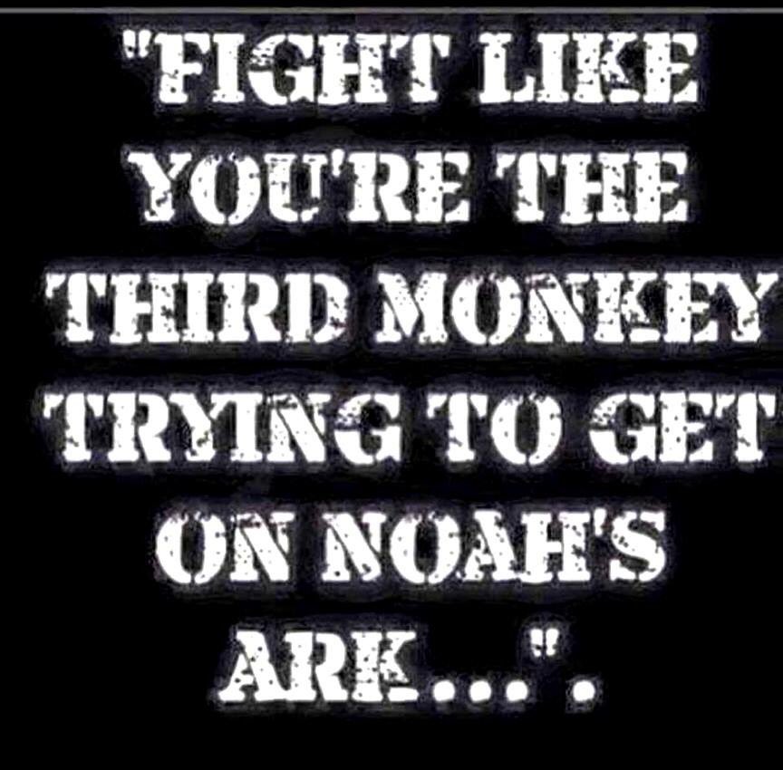 cornbread1214's tweet image. TROOF!