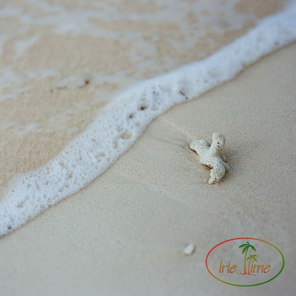 MyIrieTime's tweet photo. Love these beach walks! #Anguilla #AnguillaWeek #NeedSomeAnguilla #Caribbean https://t.co/hZ2bu61KoU https://t.co/YoX51BlDII