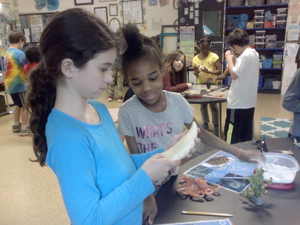MrsGordon531's tweet photo. We loved traveling to 6 different habitats, flexing  our explorer muscles! @GIS_Cromwell https://t.co/3sBn4yNCxh