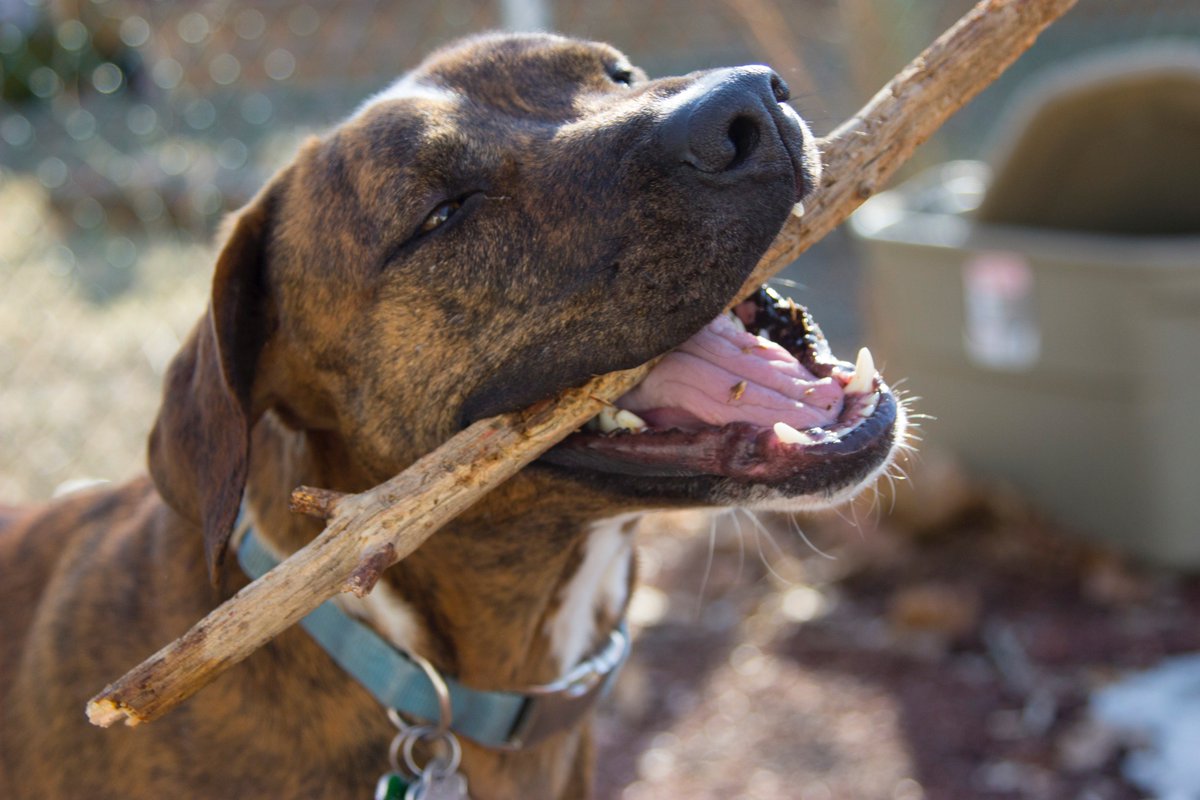 LyssaTalbot's tweet image. Hank has a nose for finding great new products @TheGrommet . See his launch @Wista #startpup bit.ly/1NryXdd