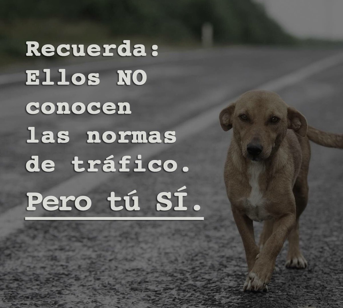 RomanticaVic's tweet photo. Manejemos con precaución, aquí en #cdvictoria suena!!! https://t.co/9DTSKbFMgU