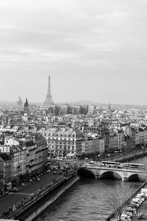 monderendar's tweet photo. @Paris en noir et blanc pris depuis les tours de @notredameparis. #Paris #blackandwhite #photography #lovemycity https://t.co/eU0euaIIMm