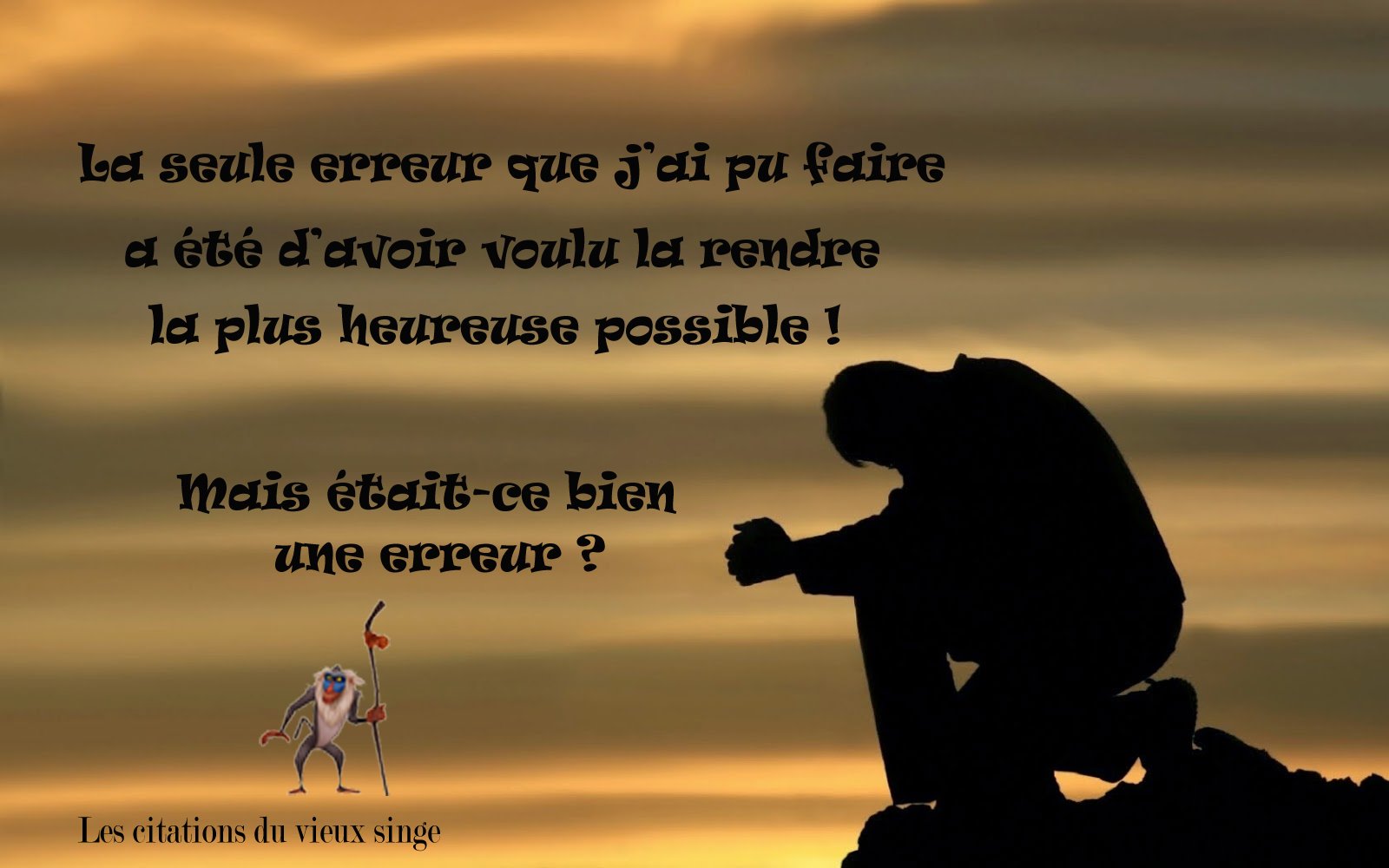 Citation Vieux Singe Citationdusinge Twitter