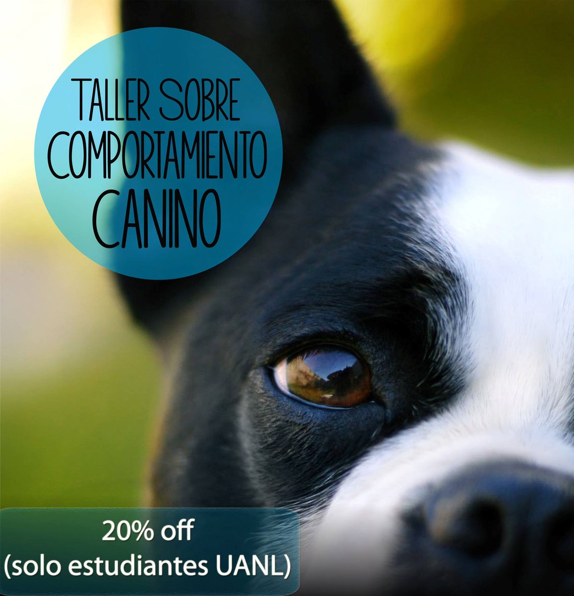 uanl_ceag's tweet photo. ¿Eres estudiante de la @UANL? @ManadaK9AC y @HEB_mexico te dan un 20% de descuento en tu inscripción al #TCCMay16. https://t.co/w5Y45bLBnk