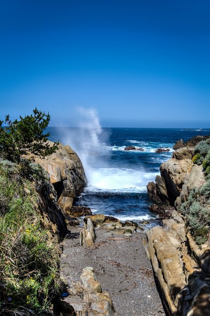 hojomarina's tweet photo. Beautiful morning at Pt. Lobos #highwayone #ptlobos https://t.co/zXs4dV8cI5