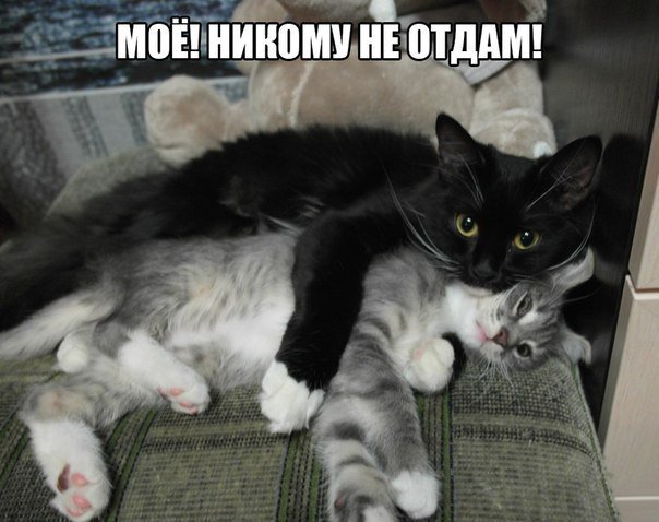 Serebro отпусти меня. Включи не отдам. Включи не отдам. Группа серебро я тебя не отдам. Серебро я тебя не отдам.