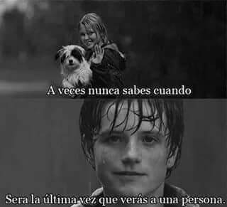 lesterHernandex's tweet photo. Me ubiera gustado verte antes de q partieras d mi vida 100pre viviras en mi mente y corazón #nuncateolvidareMONICA https://t.co/gXLNjJD5Vq